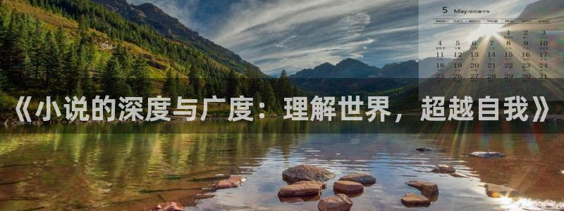 沉欢sun1998郁晟儒趣书：《小说的深度与广度：理解世界，超越自我》