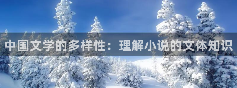 笔趣书阁官网app：中国文学的多样性：理解小说的文体知识